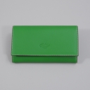 Boldrini, , 289-verde